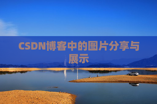 CSDN博客中的图片分享与展示